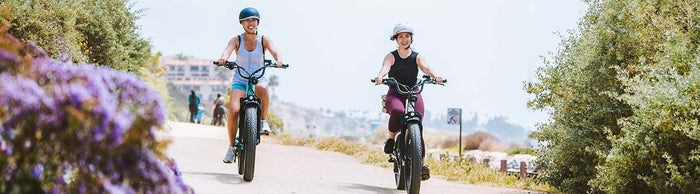 The Quintessential Summer E-bike