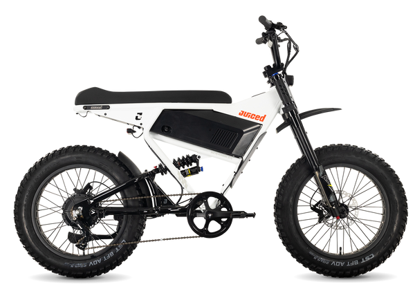 SCRAMBLER FS